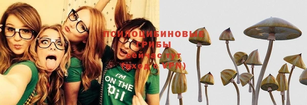 тгк Тобольск