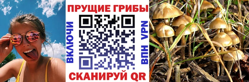 Галлюциногенные грибы мухоморы  Купить закладки  Южно-Сухокумск 