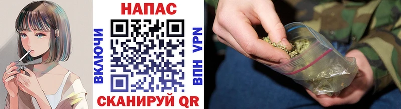 Купить закладки  Южно-Сухокумск  Шишки марихуана White Widow 